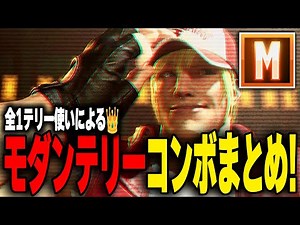 【スト6テリー】まずはこれだけ押さえればOK！全1テリー使いによるモダンテリー解説【初中級者向け】