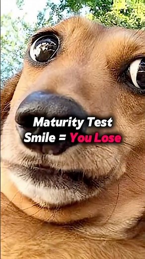 Maturity Test - Try Not To Laugh Challenge (LEVEL IMPOSSIBLE)