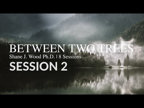Between Two Trees - Session 2: The Mystery of Eden - What Happened in the Garden? by Shane Wood