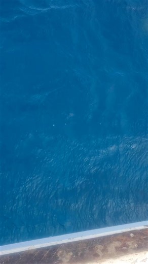 captaindurr (@captaindurr)’s videos with Ocean Wave - Alkaline