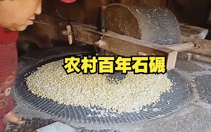 带你看农村百年石碾，原滋原味的石碾子玉米面，驴拉石碾子！ 在外漂泊18年 为了孩子上学回到家乡 记录最真实的乡野田间生活和日常 家乡四季 儿时记忆…