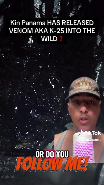 Kin Panamá y el Meteorito: ¿Veneno Extraterrestre?