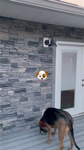 GenStone Siding Before and After 🏚️🔜🏠 #mygenstonediy