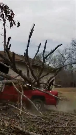 Think you know that sound? Think again 😬🔥 #WildAndWeirdAmerica | Discovery Channel UK