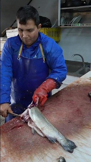 Trout Lovers: Eat Fish Without Dealing with Bones!