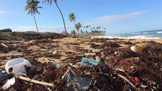 20 Ways Overdevelopment Is Affecting Canada’s Coastal Areas