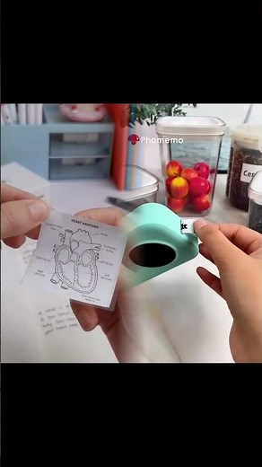 ASMR Study Session with Phomemo M02 #backtoschool #phomemo #studywithme #asmr