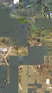 9858 resumen dela película Maze Runner | Aaksh News 24