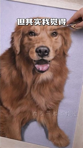 My Dog's Felt Adventure: Customized Pet Wool Felt WoolFelt PetCustoms