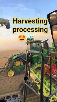 Harvesting Process – The Complete Guide to Modern Crop Harvesting.🚜🤩