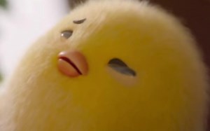 Freen丨关于弗里恩的一切