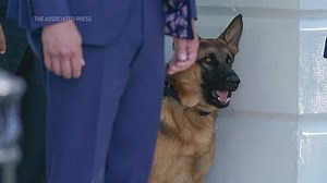Biden dog bit Secret Service 10 times
