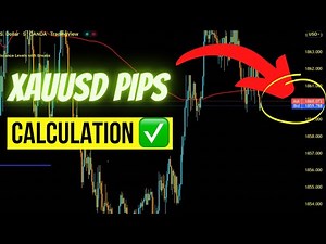 ✅Xauusd Pips Calculation in Hindi & 1 pip = $ ?🤷