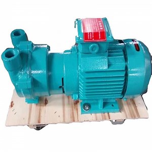 [Hot Item] 2BV-2070 Liquid Ring Vacuum Pump with Compressor
