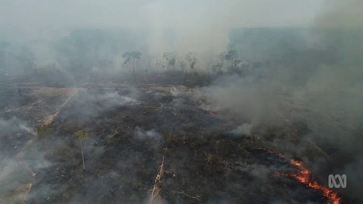 Amazon deforestation is stopping forest from recycling rainwater, which affects temperatures