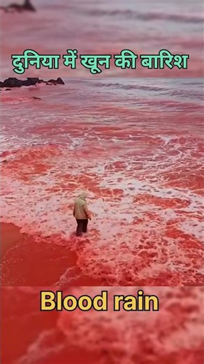 The Blood Rain
