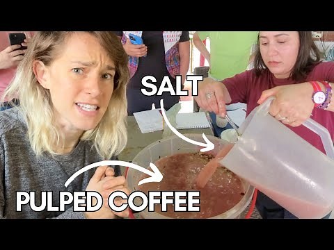 Coffee Processing: Lactic Process Washed Fermentation EXPLAINED (w/ Lucia Solis)