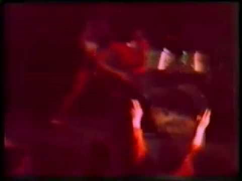 Divlje Jagode & Alen Islamovic