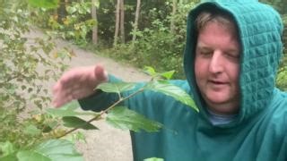 19K views · 64 reactions | Have you ever noticed the smell of rain, where does that odour come from? The Weather Network's Matt Hamel digs deeper. ️樂 Watch more video: https://ow.ly/n6JM50VXaFL | The Weather Network | Facebook