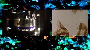 Brakhage by Mothlight