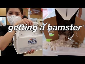 GETTING MY HAMSTER!! + hamster supplies haul | Oli Nicole