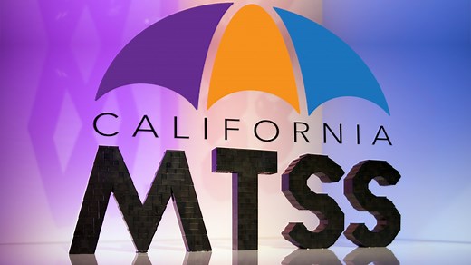 Introduction to MTSS