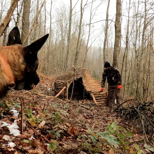 635K views · 10K reactions | Winter camping and cooking at my shelter part: 4 #wargehbushcraft #winter #wintercamping #snow #camp #camping #dog #campinglife #relax #forest #cooking #cook #bushcraftskills #bushcraft #adventure #snow #shelter #alonelife #primitive #outdoors #survival #shelter | Wargeh Bushcraft | Facebook