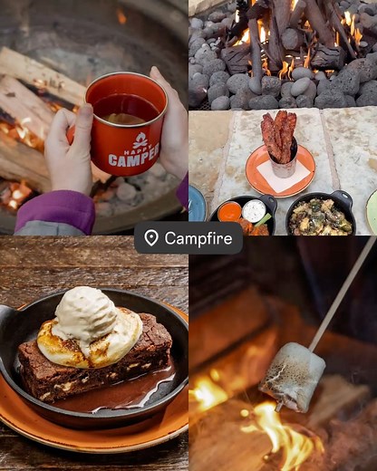 Lazy Dog Restaurants on Reels