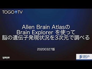 Allen Brain AtlasのBrain Explorer を使って脳の遺伝子発現状況を3次元で調べる