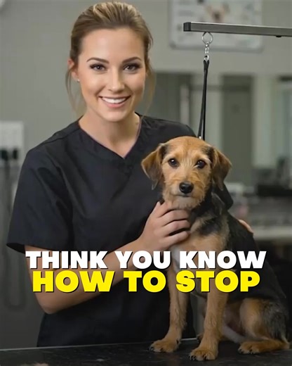 1.5K views · 3.3K reactions | Is your dog constantly scratching?  Most dog owners don't know this, but constant scratching can often be a sign of allergies, derma dysfunction, and sometimes even more serious health problems  Thankfully, this new spray solves all that!  Simply apply this to their skin to promote a healthy coat, reduce allergies, and get rid of pesky skin issues  | Pup Labs | Facebook