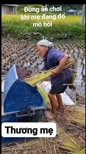 86K views · 503 reactions | GSSG | Mẹ Đơn Thân | Facebook