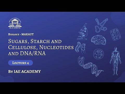Sugars, Starch and Cellulose, Nucleotides and DNA/RNA | Lecture 4 | Biology | Biology for Engineers