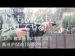 【栴檀林小隊ch】サルもカラスも駆逐してやる! 「コアミ農業用おどしてっぽう」に注意!