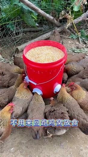 This clever bucket design makes it easy to get water whenever you need it.