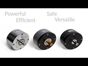 PTM compressed air motors energy-efficient pneumatic power (EN)