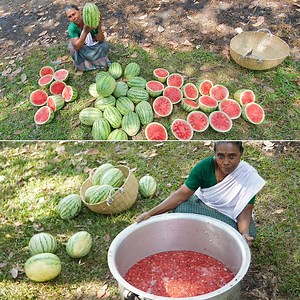 328K views · 311 reactions | Summer Health Drinks WaterMelon Juice - Tarbooz Juice | Village Cookings | Facebook