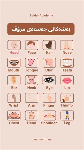 Baldar Academy | ‎Common human body parts. #learn_english #english_academy #baldar_academy #english #باڵدارئەکادیمی #ئینگلیزی #فێربونی_زمانی_ئینگلیزی...‎ | Instagram