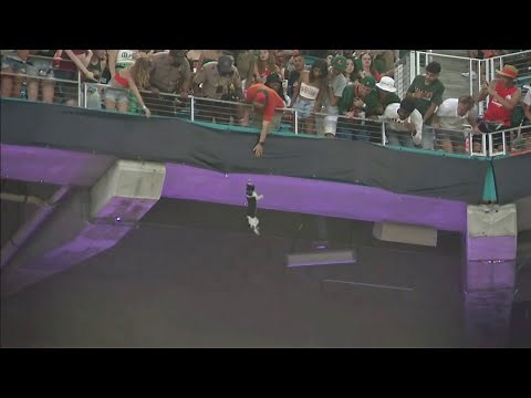Falling cat caught in American flag at Hard Rock Stadium during Miami game.