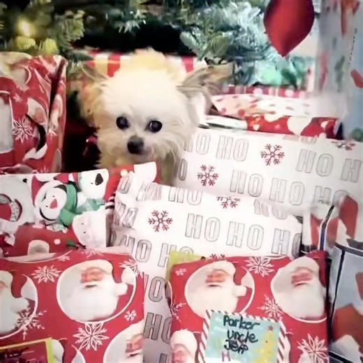 186K views · 17K reactions | sometimes, the best gifts don’t come in boxes | Norbert | Facebook