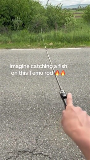 The most goated temu rod on the market #fishing