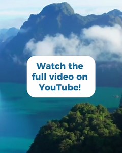 Forgiveness is the precursor to loving-kindness. When we’re stuck in blame or resentment, our hearts can’t stay open. ⠀ Forgiveness doesn’t mean forgetting—it means releasing ourselves from the trance of separation. ⠀ 🌱 Where are you still holding on? What would it feel like to let go—even a little? Watch the full video on our YouTube channel. | Tara Brach