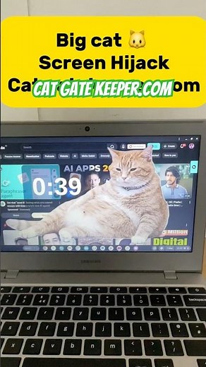 How to Get Cat Gate Keeper Extension 🐱 | Install Cute Cat Chrome Extension 2026 #extension #usa