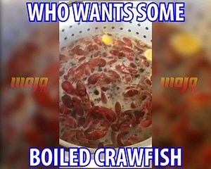 16K views · 629 reactions | I'm Ready are YOU?? | Mojo TV | Facebook