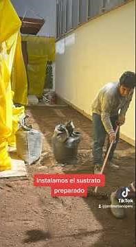 Instalación de techos y azoteas verdes