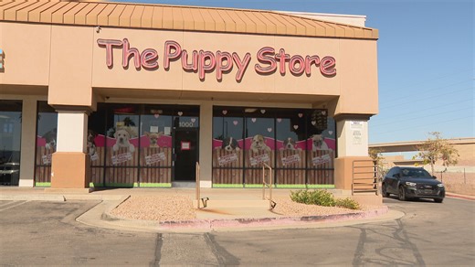 Henderson halts puppy store over permit issues, sparking activist outcry