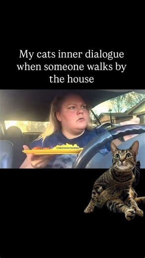 Back up Terry 🤨😹 #shorts #catshorts #funnycatvideos #catsofyoutube#video #catoftheday #cats