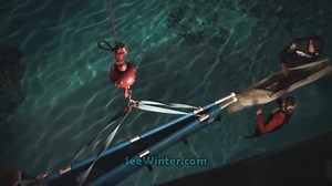 1.6K reactions · 313 shares | Five years ago today, Hope Dolphin came...