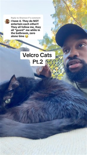 19K views · 284 reactions | The cat math has a lesser probability than the real math! lol | Themanifamily | Facebook