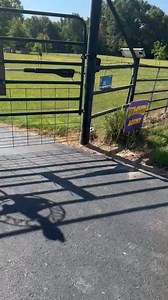 Watch Mighty Mule wireless keypad, easy install on Amazon Live