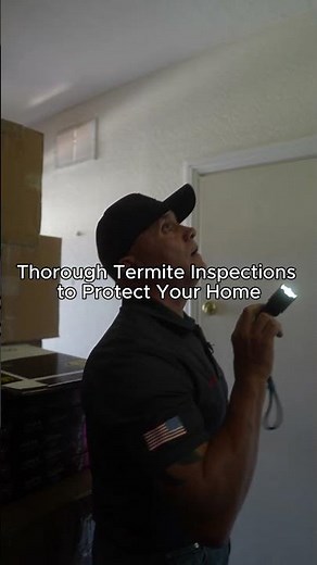 Thorough Termite Inspection